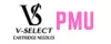 EZ VSelect PMU купить