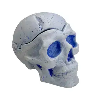 Череп большой от SkullWat No 16 купить недорого в Украине, фото 8373