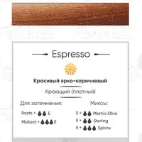 Пигмент для татуажа Espresso Perma Blend