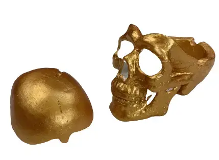 Череп великий від SkullWat No 18 22344