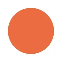Тату краска Papaya Intenze (30 мл.)