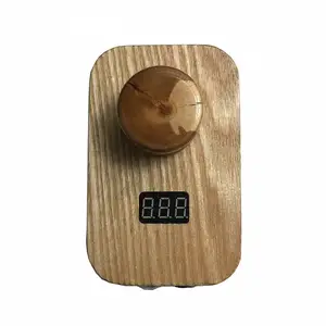 Блок питания Wood by Hasl Power купить