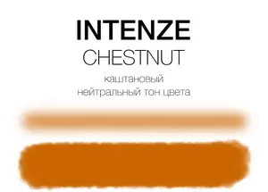 Тату краска Chestnut Mike DeMasi Serias Intenze (30 мл.) купить