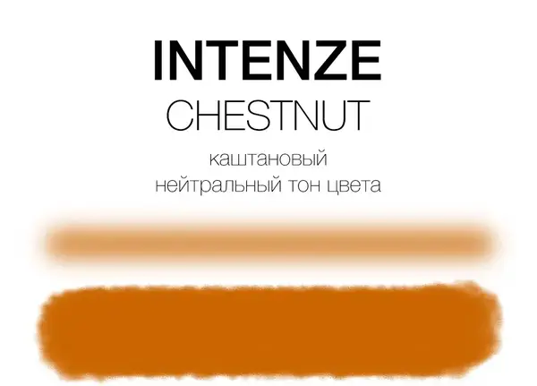 Тату краска Chestnut Mike DeMasi Serias Intenze (30 мл.) купить недорого в Украине, фото 2241
