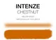 Тату краска Chestnut Mike DeMasi Serias Intenze (30 мл.) купить недорого в Украине, фото 2