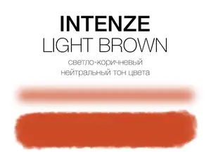 Тату краска Light Brown Intenze (15 мл) купить
