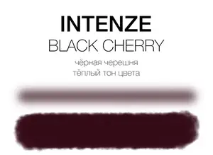 Тату краска Black Cherry Mike DeMasi Serias (30 мл.) купить