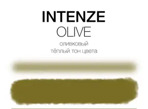 Тату краска Olive Mike DeMasi Serias Intenze (30 мл) купить