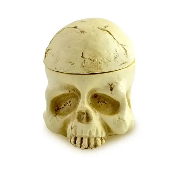 Подставка под капсы Череп купить недорого в Украине, фото 40230