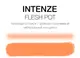 Тату фарба Fleshpot Intenze (15 мл.) 2