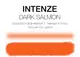 Тату краска Dark Salmon Intenze (30 мл.) купить недорого в Украине, фото 2