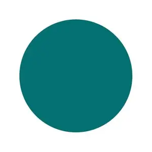 Тату фарба Teal Intenze USA (30 мл.)