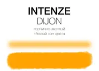 Уцінка Тату фарба Dijon Mike DeMasi Serias Intenze 30мл 10/24