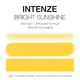 Тату краска Bright Sunshine Intenze (30 мл) купить недорого в Украине, фото 3