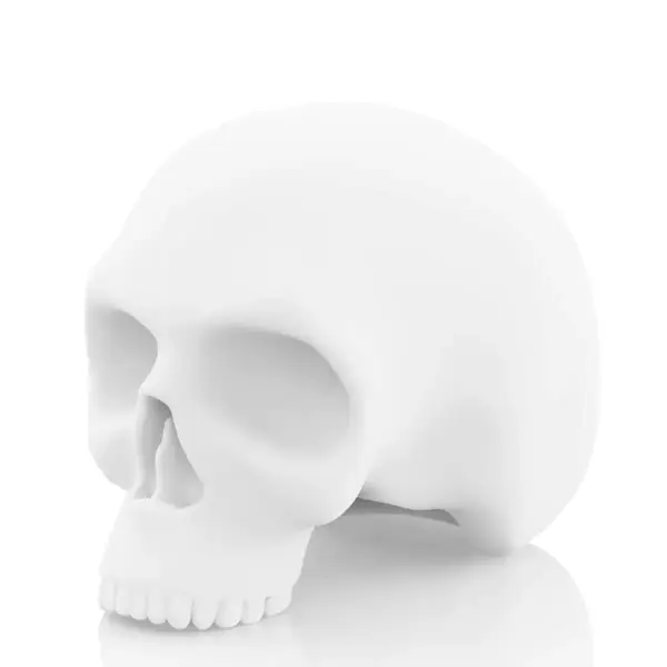 Штучна шкіра в формі черепа білий 22267