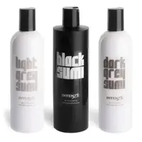 Набор красок Intenze Japaneze Tattoo Ink Set (360 мл.) купить