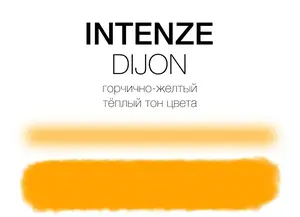 Уцінка Тату фарба Dijon Mike DeMasi Serias Intenze 30мл 06/23