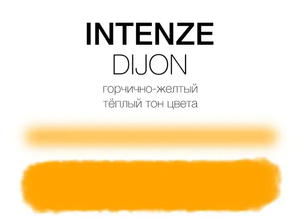 Уцінка Тату фарба Dijon Mike DeMasi Serias Intenze 30мл 06/23 2235