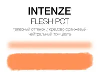 Тату краска Fleshpot Intenze (30 мл.)