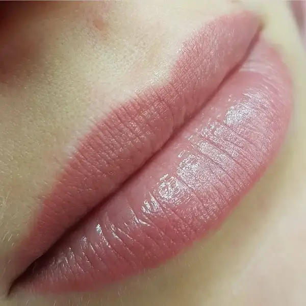 Пігмент NE Pigments "206 Пепельная Роза для губ" от Елены Нечаевой (5 мл.) 12066