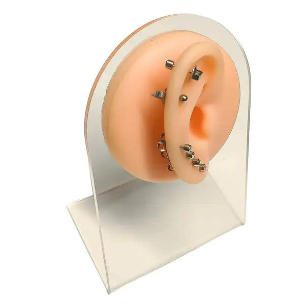 Штучна шкіра OZER форма 7 для практики тату та пірсингу (праве) 43097