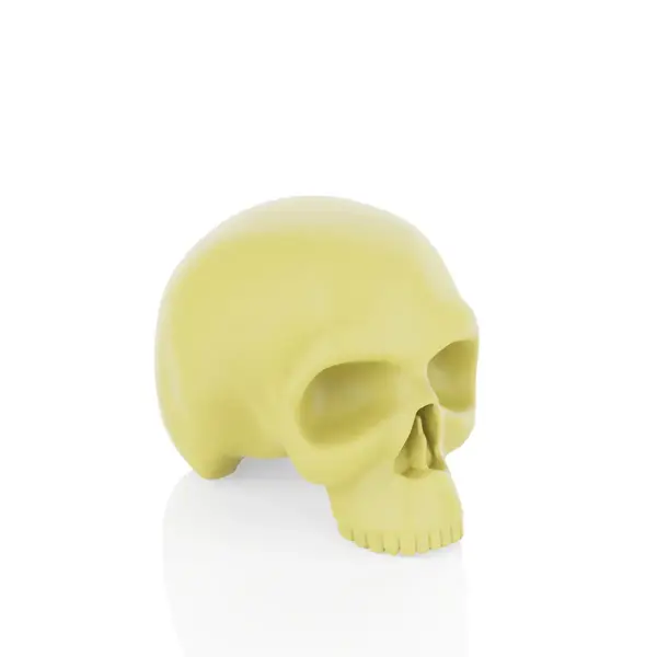 Штучна шкіра в формі черепа тілесний 43102