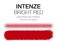 Тату фарба Bright Red Intenze (60 мл.)