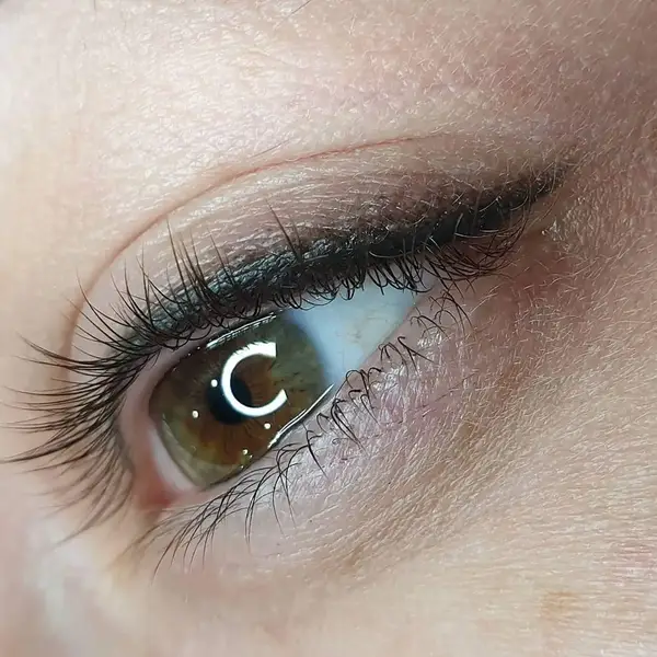 Пігмент NE Pigments "303 Черный для век" от Елены Нечаевой (5 мл.) 12000