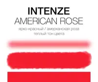 Тату краска American Rose Intenze (30 мл.)