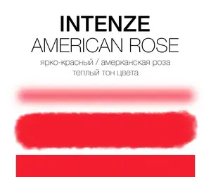Тату фарба American Rose Intenze (30 мл.)
