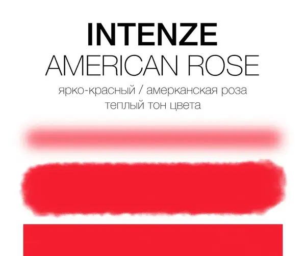 Тату фарба American Rose Intenze (30 мл.) 2848