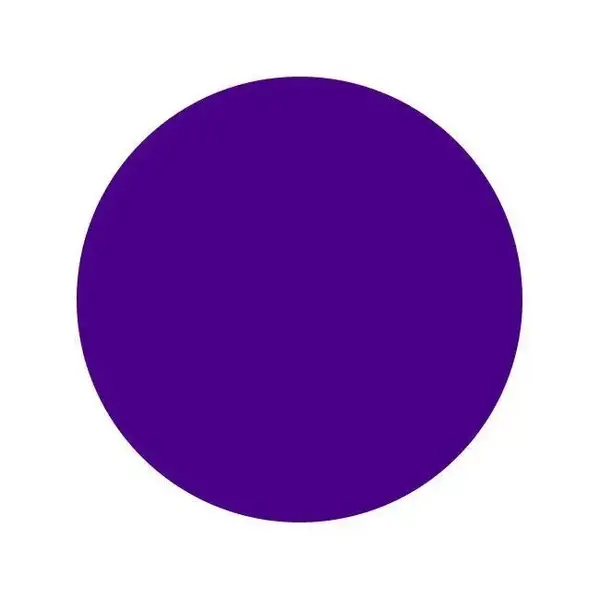 Тату краска Dark Purple Intenze (60 мл.) купить недорого в Украине, фото 6434