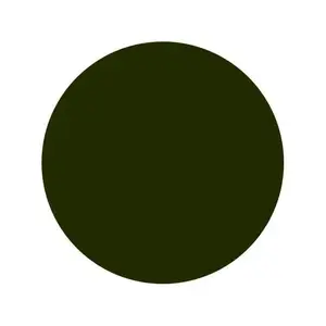 Тату краска Mud Green Intenze (30 мл.) купить