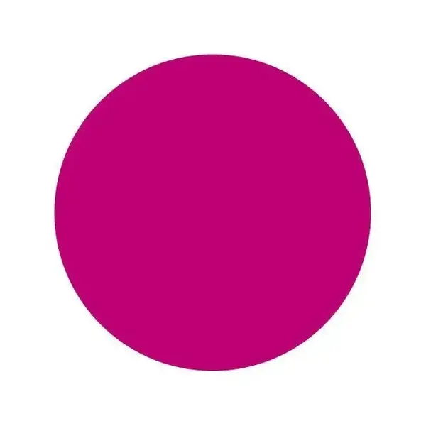 Тату фарба Light Magenta Intenze (15 мл.) 2831