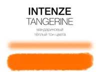 Тату фарба Tangerine Intenze USA (30 мл.)