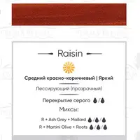 Пигмент для татуажа Raisin Perma Blend