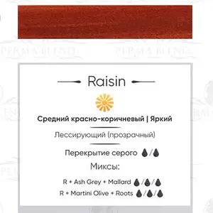Пигмент для татуажа Raisin Perma Blend купить