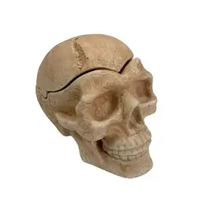 Череп великий від SkullWat No 17