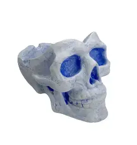 Череп большой от SkullWat No 16 купить недорого в Украине, фото 22337