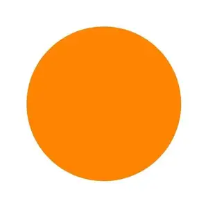 Тату краска Bright Orange Intenze (30 мл.) купить