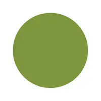 Тату краска Will's Olive Intenze (30 мл.)