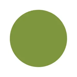 Тату фарба Will's Olive Intenze (30 мл.)