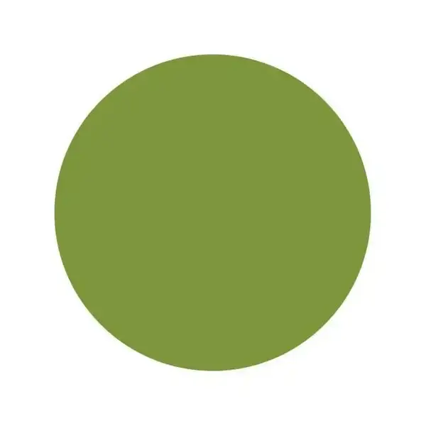 Тату фарба Will's Olive Intenze (30 мл.) 274