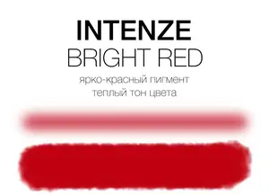 Тату краска Bright Red Intenze (30 мл.) купить