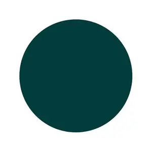 Тату фарба Midnight Green Intenze (30 мл.)