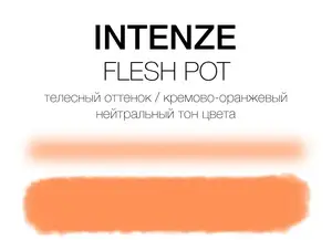Тату краска Fleshpot Intenze (60 мл.) купить