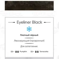 Пигмент для татуажа Eyeliner Black Perma Blend