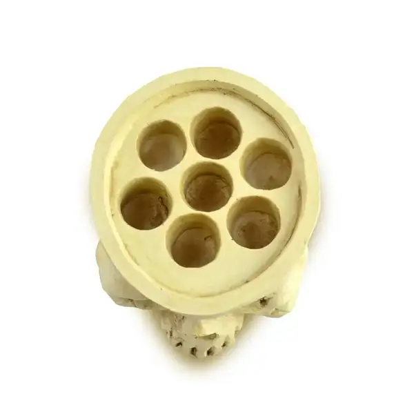 Подставка под капсы Череп купить недорого в Украине, фото 40228