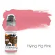 Уцінка Тату фарба Flying Pig World Famous (30 мл.) 256