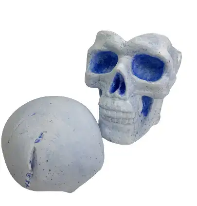 Череп большой от SkullWat No 16 купить недорого в Украине, фото 22338